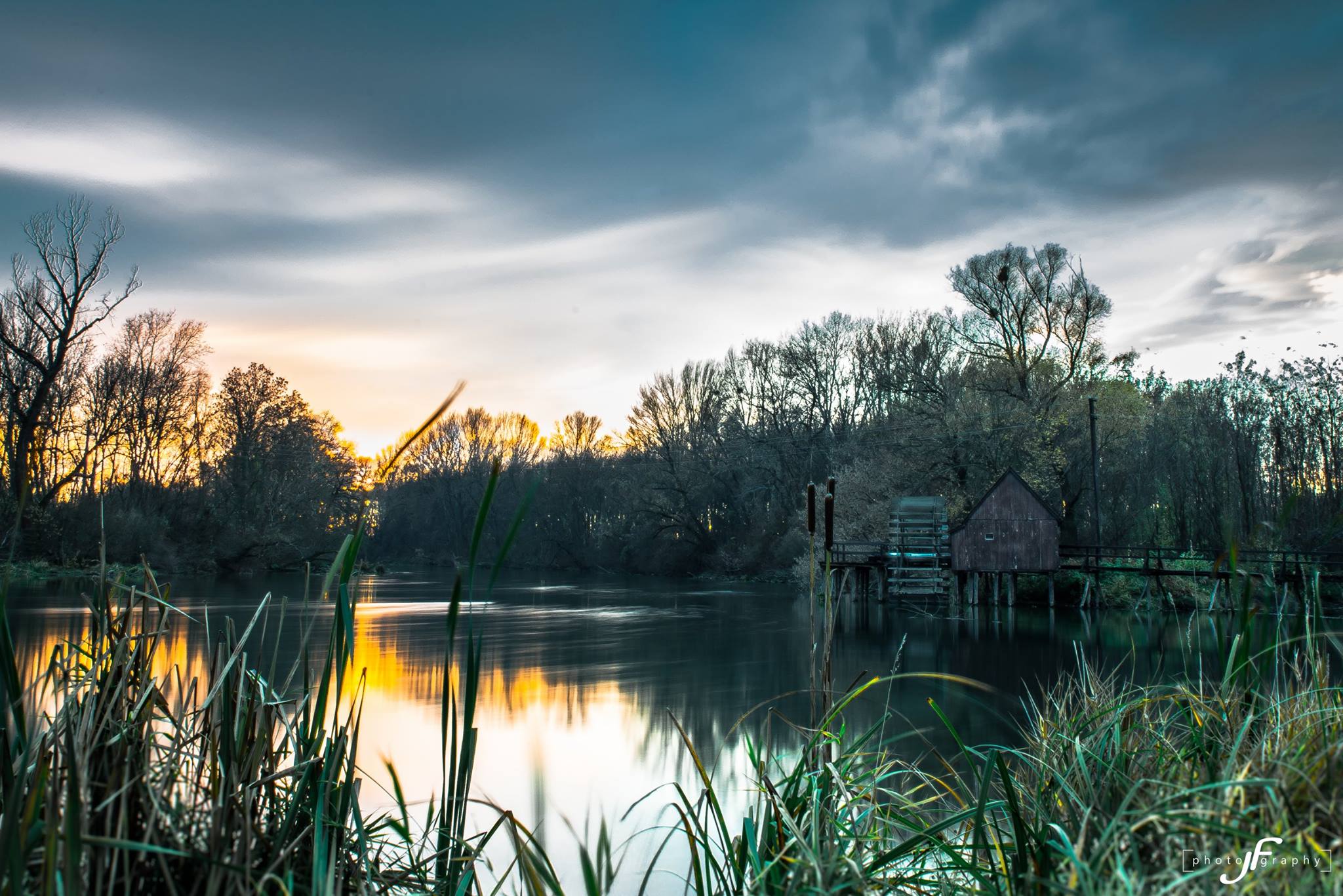 12247663_907499362678502_6941306242894378343_o