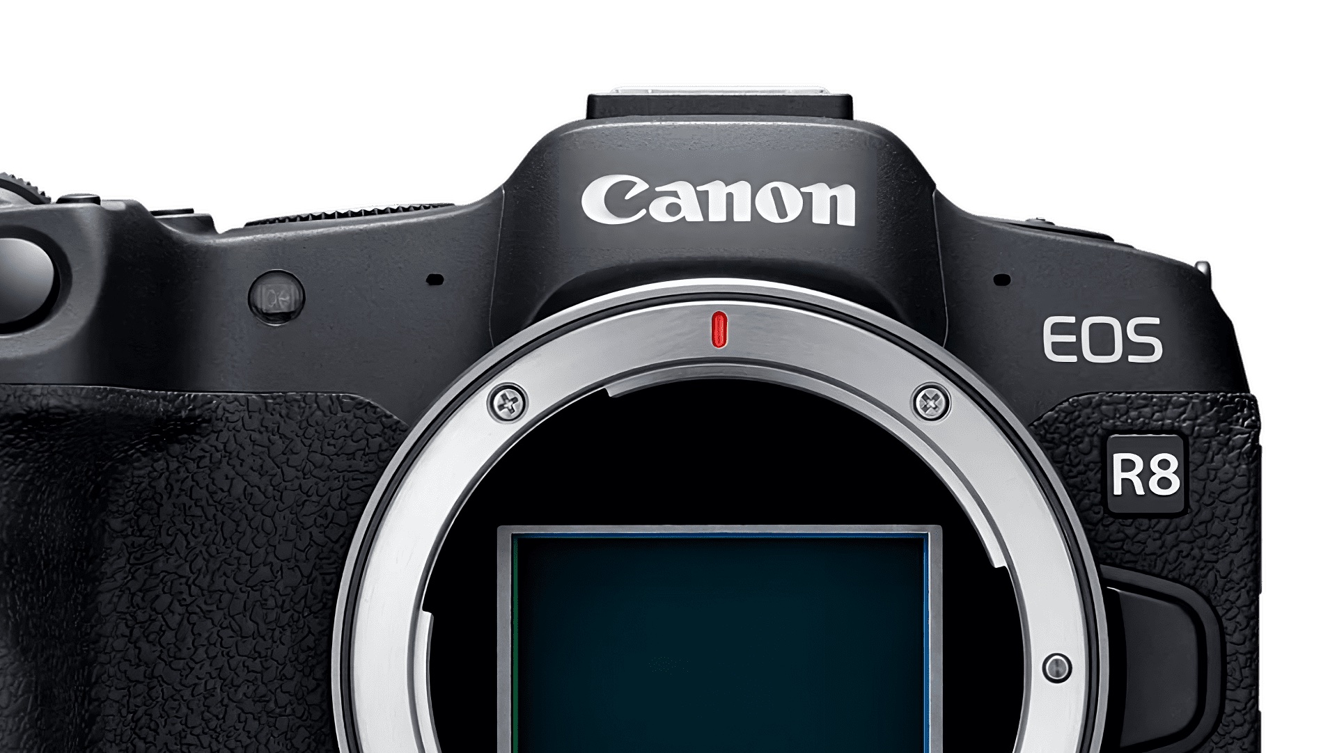 Canon Predstavuje Najľahší Fullframe Fotoaparát Canon EOS R8 | AQT Magazín