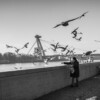 Bratislava